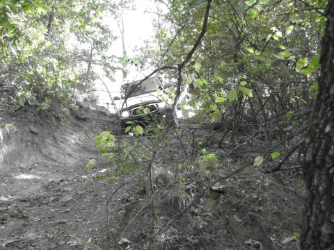1995 Ford Bronco - Bronco tackling a challenging off-road obstacle on a wooded trail.
