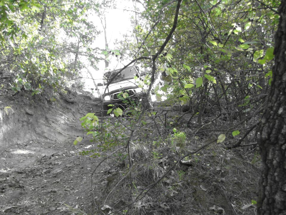 1995 Ford Bronco navigating a steep, muddy off-road trail surrounded by trees