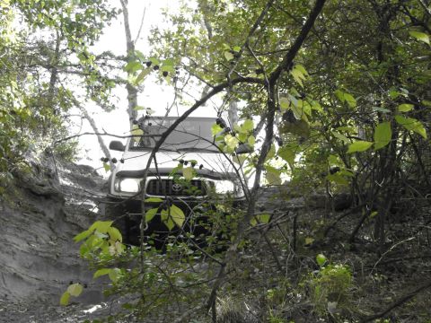 1995 Ford Bronco - A Toyota Tacoma navigates a wooded trail, its front grille and headlights visible through the foliage.