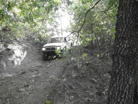 1995 Ford Bronco - A white SUV navigates a challenging off-road path through dense woods.