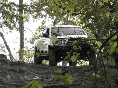 1995 Ford Bronco - Toyota Tacoma pickup truck navigating an off-road trail through trees.