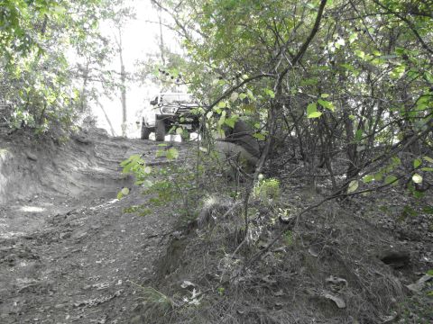 1995 Ford Bronco - A vehicle navigates a challenging off-road path surrounded by dense foliage.