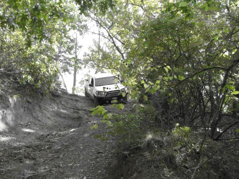 1995 Ford Bronco - A white pickup truck navigates a steep, muddy off-road trail surrounded by dense foliage.