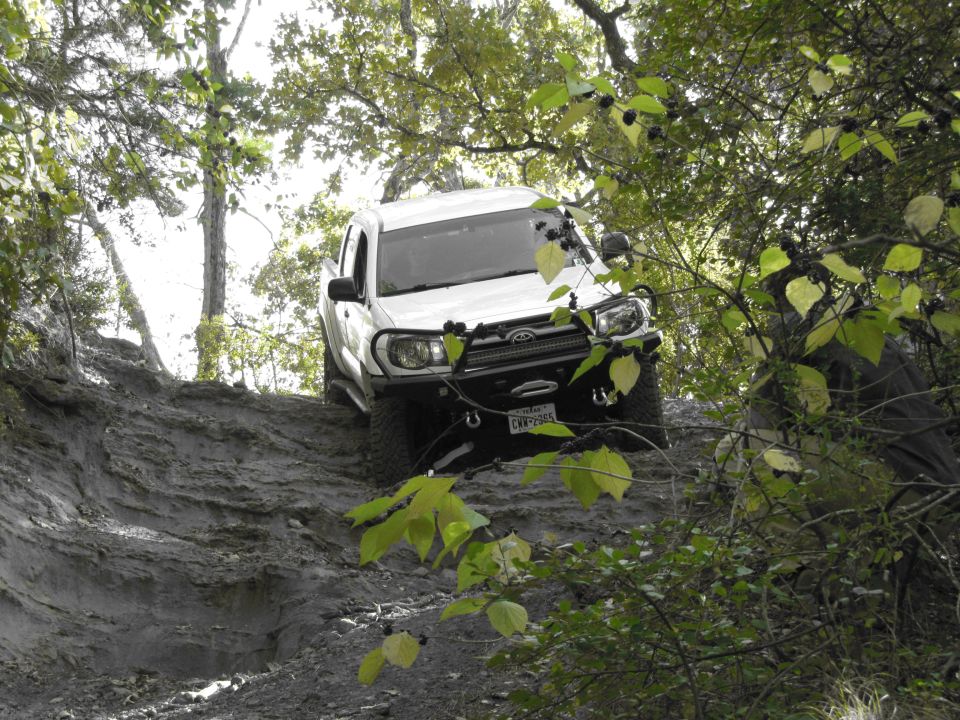 White pickup truck navigating a steep, muddy trail with dense foliage