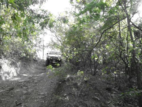 1995 Ford Bronco - White SUV navigates a challenging dirt trail in a wooded area. Supermotors logo visible.