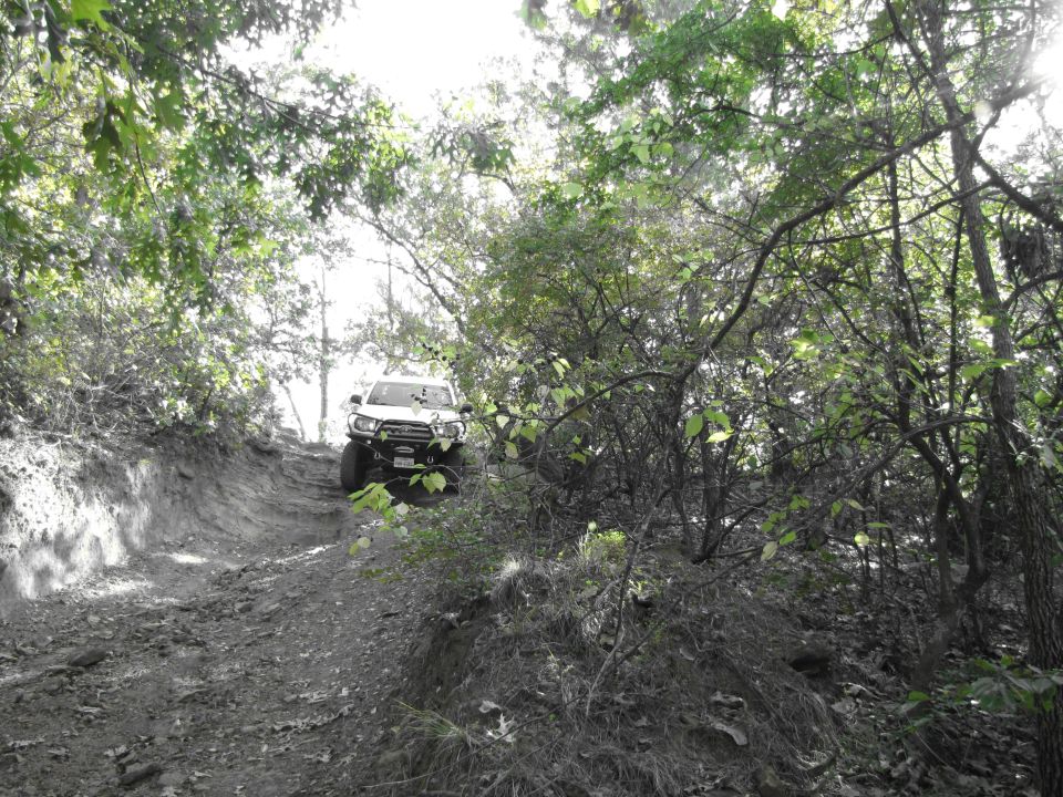 White SUV on a steep dirt trail surrounded by trees. Supermotors logo in lower right