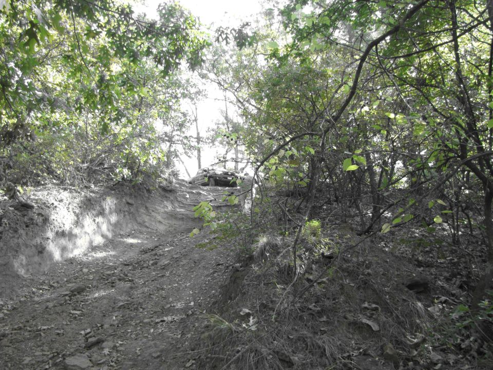Off-road vehicle on a steep, wooded dirt trail