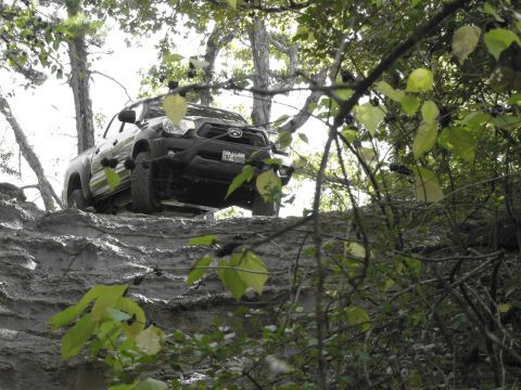 1995 Ford Bronco - A black Toyota Tacoma navigates a challenging muddy terrain, partially obscured by tree branches and leaves.
