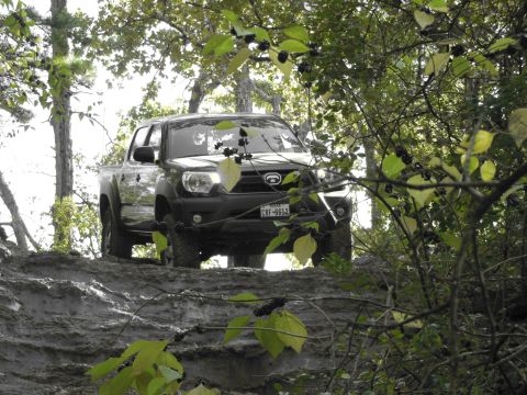1995 Ford Bronco - Pickup truck navigating a dirt path surrounded by foliage.