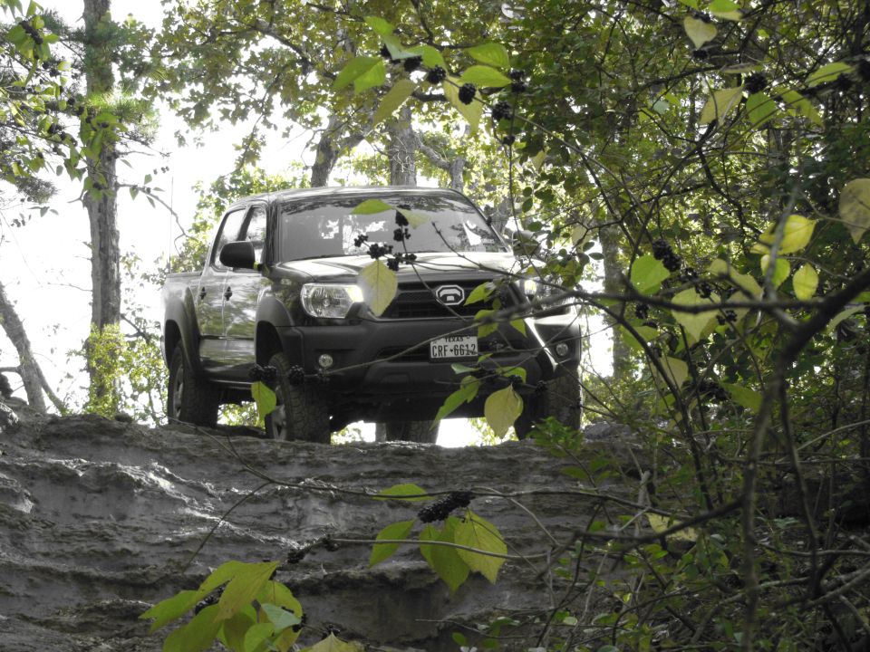 Black pickup truck driving on a muddy trail through trees. License plate reads CRF-6612