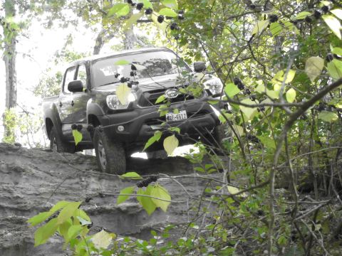 1995 Ford Bronco - A pickup truck navigates an off-road trail surrounded by dense foliage.