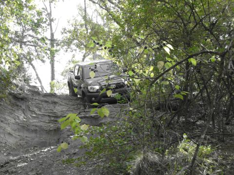 1995 Ford Bronco - A dark pickup truck navigates a challenging, muddy trail surrounded by dense foliage.