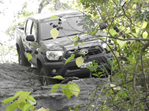 1995 Ford Bronco - A dark pickup truck drives through a muddy, wooded area, with branches and leaves in the foreground.