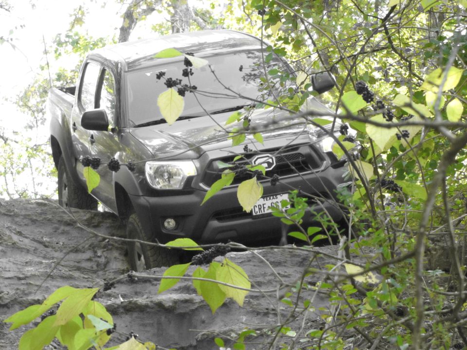 Dark pickup truck navigating a muddy incline, partially obscured by foliage