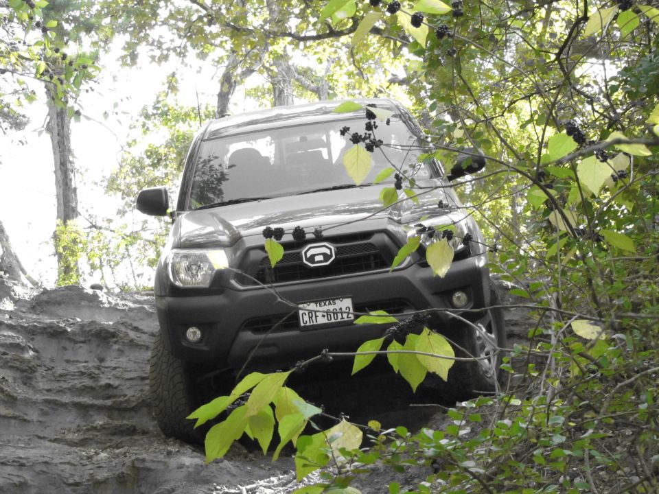 Toyota Tacoma driving on a rocky, wooded trail. Texas license plate CRF-6012 visible