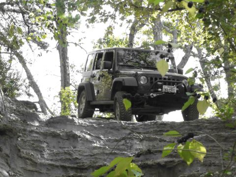 1995 Ford Bronco - A black Jeep Wrangler navigates a challenging dirt path surrounded by lush green foliage.