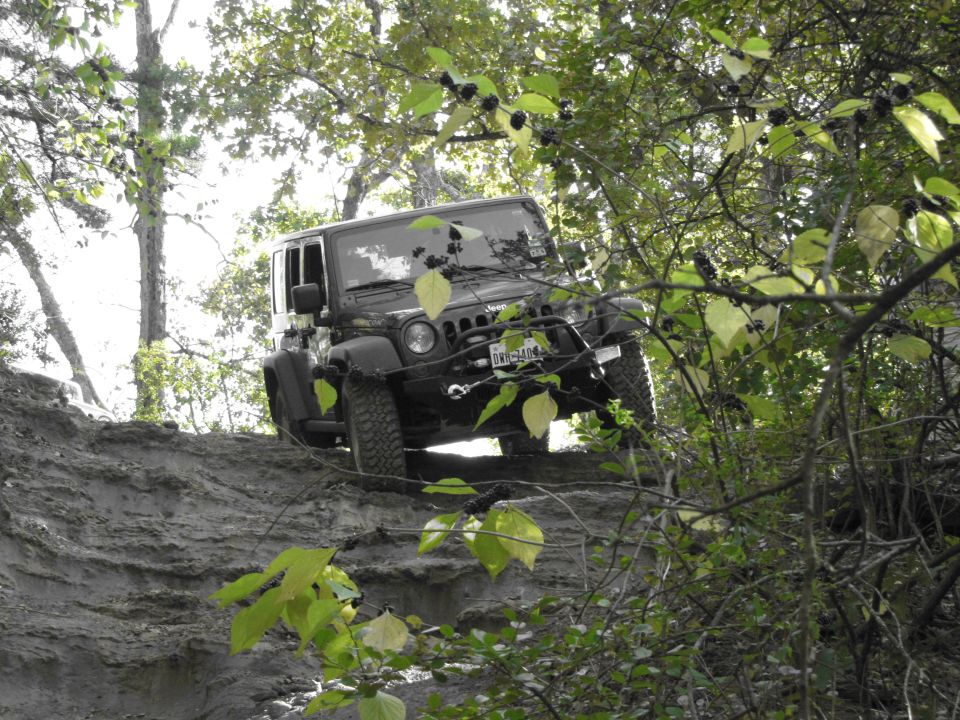 Black Jeep Wrangler navigating a steep, muddy trail surrounded by trees