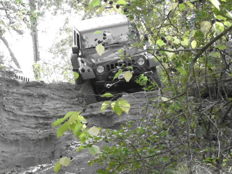 1995 Ford Bronco - Jeep Wrangler navigates a challenging off-road trail through wooded terrain.