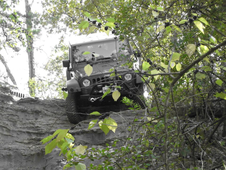 Jeep Wrangler climbing a dirt hill through trees