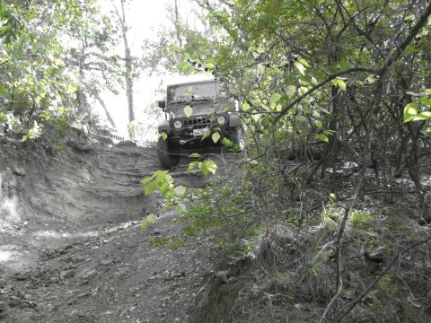 1995 Ford Bronco - A Jeep Wrangler navigates a challenging off-road trail through dense foliage.