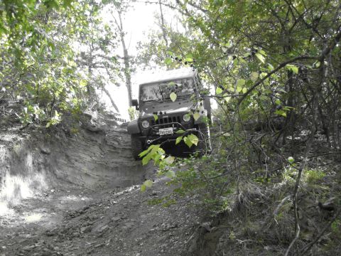 1995 Ford Bronco - A Jeep Wrangler navigates a steep, wooded trail during an off-road excursion.