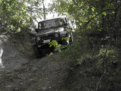 1995 Ford Bronco - Jeep Wrangler tackling an off-road trail with steep inclines and dense foliage.