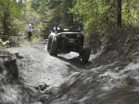 1995 Ford Bronco - A Jeep Wrangler navigates a challenging dirt trail surrounded by trees.