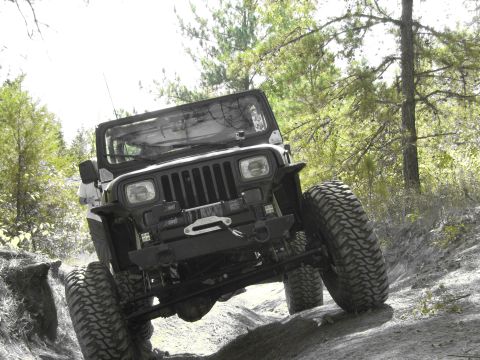 1995 Ford Bronco - Jeep Wrangler tackling rough terrain on a wooded trail.