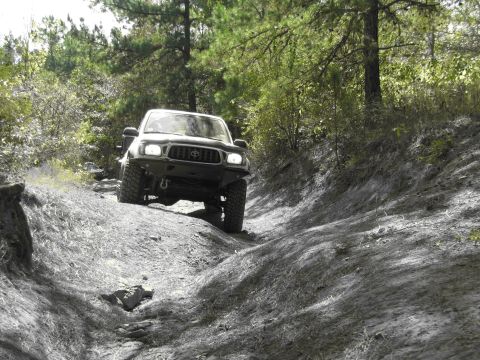 1995 Ford Bronco - A Toyota Tacoma TRD Off-Road navigates a steep, rutted dirt path surrounded by trees.