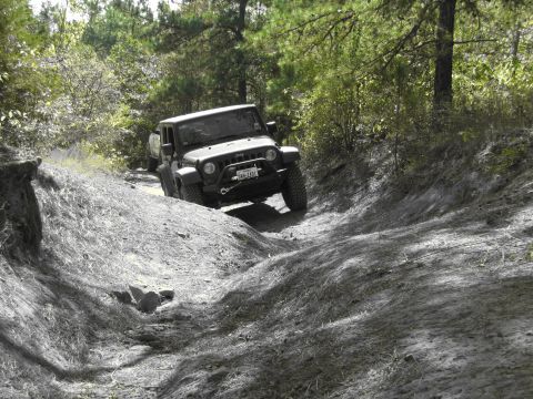 1995 Ford Bronco - Jeep Wrangler navigating a rough, wooded trail in Barnwell Mountain.