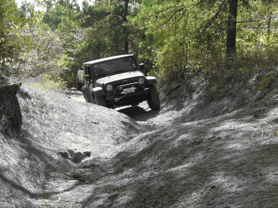 Jeep Wrangler driving on a wooded dirt trail, license plate visible