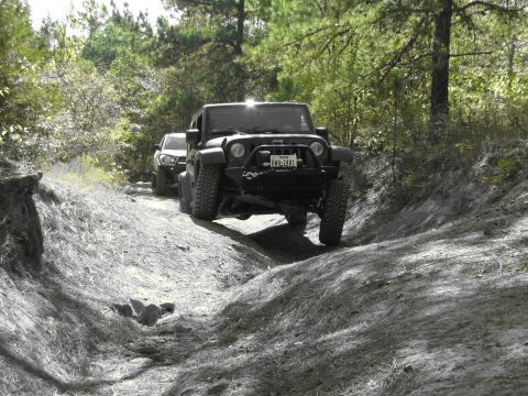1995 Ford Bronco - Two off-road vehicles navigate a challenging dirt trail surrounded by dense forest foliage.