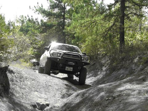 1995 Ford Bronco - Truck navigates a challenging dirt trail with trees and foliage surrounding the path.
