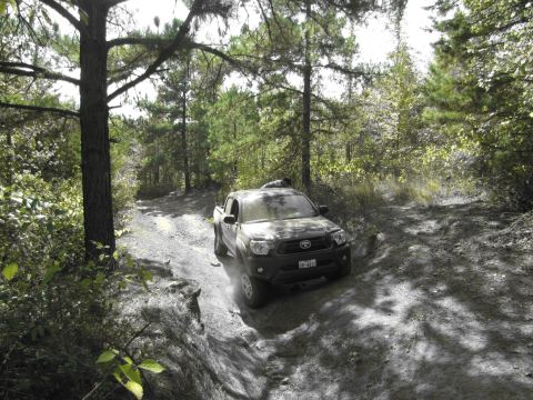 1995 Ford Bronco - A black pickup truck navigates a wooded trail, kicking up dust.