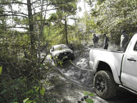1995 Ford Bronco - Two trucks are on a wooded dirt trail, with one truck being pulled by the other.