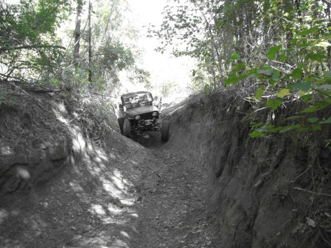 1995 Ford Bronco - A Jeep navigates a challenging off-road trail carved into the earth, surrounded by dense foliage.
