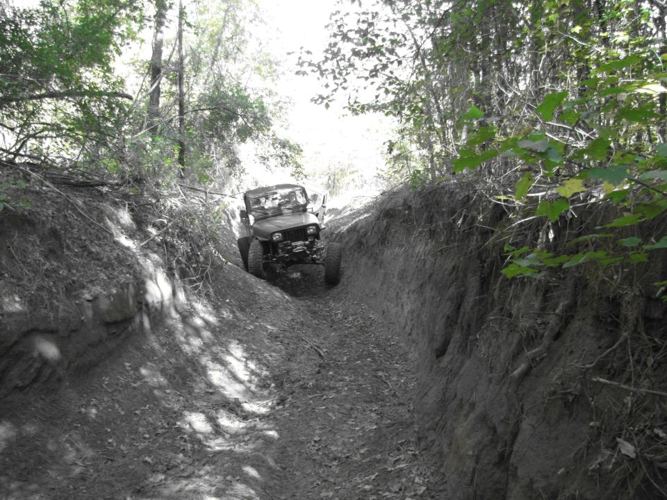 Jeep Wrangler driving down a steep, narrow dirt path in a wooded area
