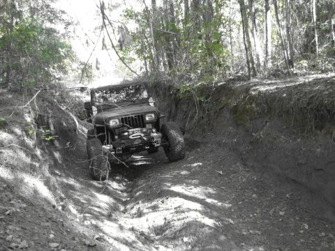 1995 Ford Bronco - A black Jeep Wrangler tackles a challenging dirt path in a wooded area, with another vehicle following closely behind.
