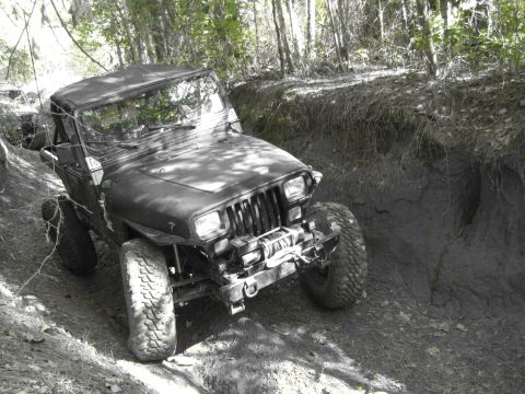 1995 Ford Bronco - Jeep Wrangler navigating a challenging off-road trail through a wooded area.