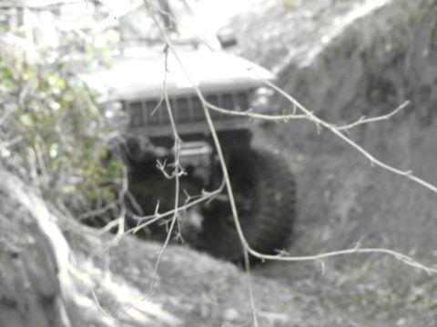 1995 Ford Bronco - A 1995 Ford Bronco navigates an off-road trail, its front grille and tires visible through overgrown vegetation.