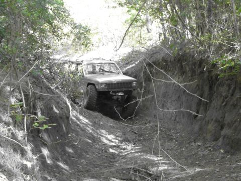 1995 Ford Bronco - Jeep Cherokee XJ navigates a challenging off-road trail through a wooded area.