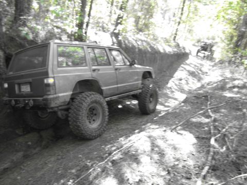 1995 Ford Bronco - A lifted Jeep Cherokee XJ navigates a challenging wooded trail, with another off-road vehicle visible further up the path.