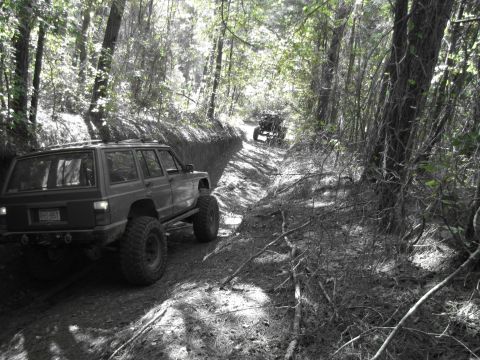1995 Ford Bronco - Two SUVs navigate a narrow dirt path through a wooded area.