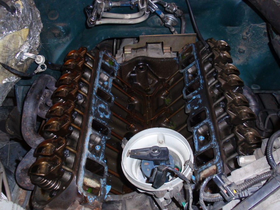 Engine with distributor cap removed, showing valve covers and intake manifold