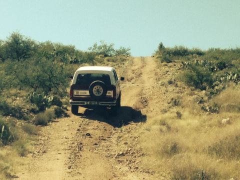 1984 Ford Bronco photo