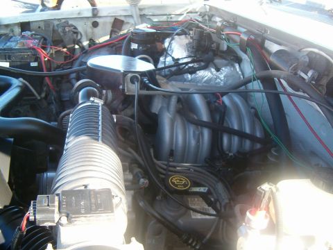 1996 Ford Bronco - Close-up view of a vehicle's engine compartment, showing complex wiring and mechanical parts.