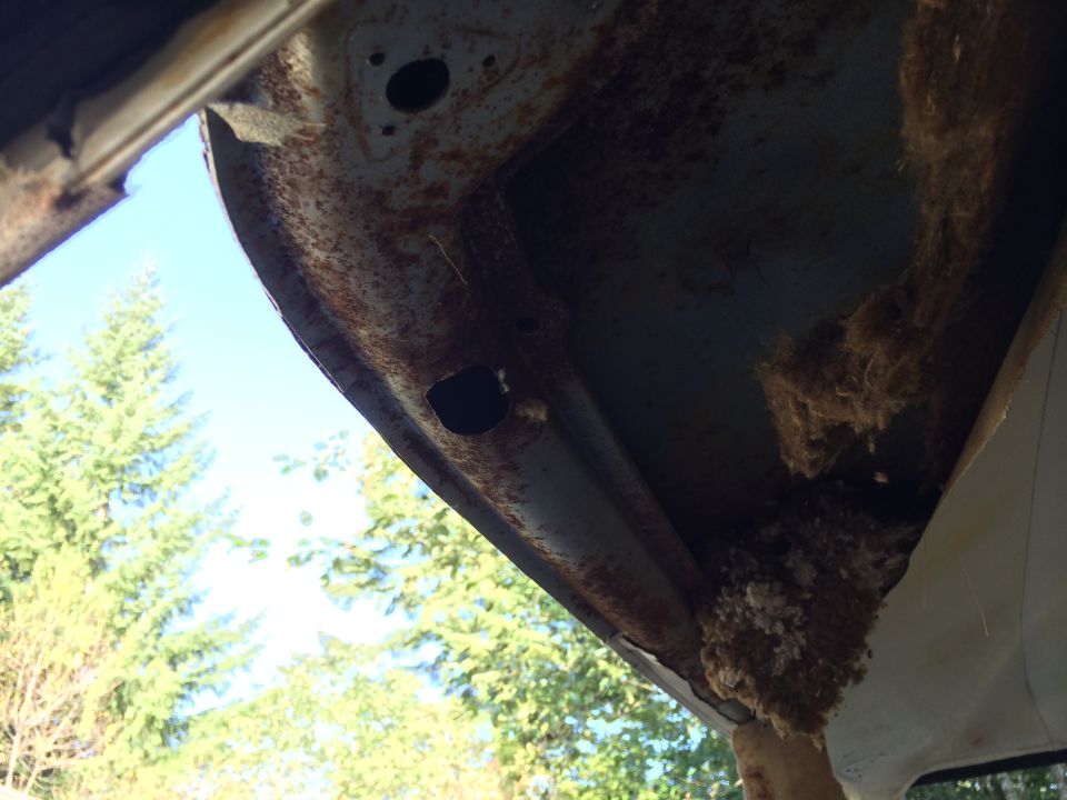 Underside of a rusty vehicle roof with insulation falling out, trees and sky visible.
