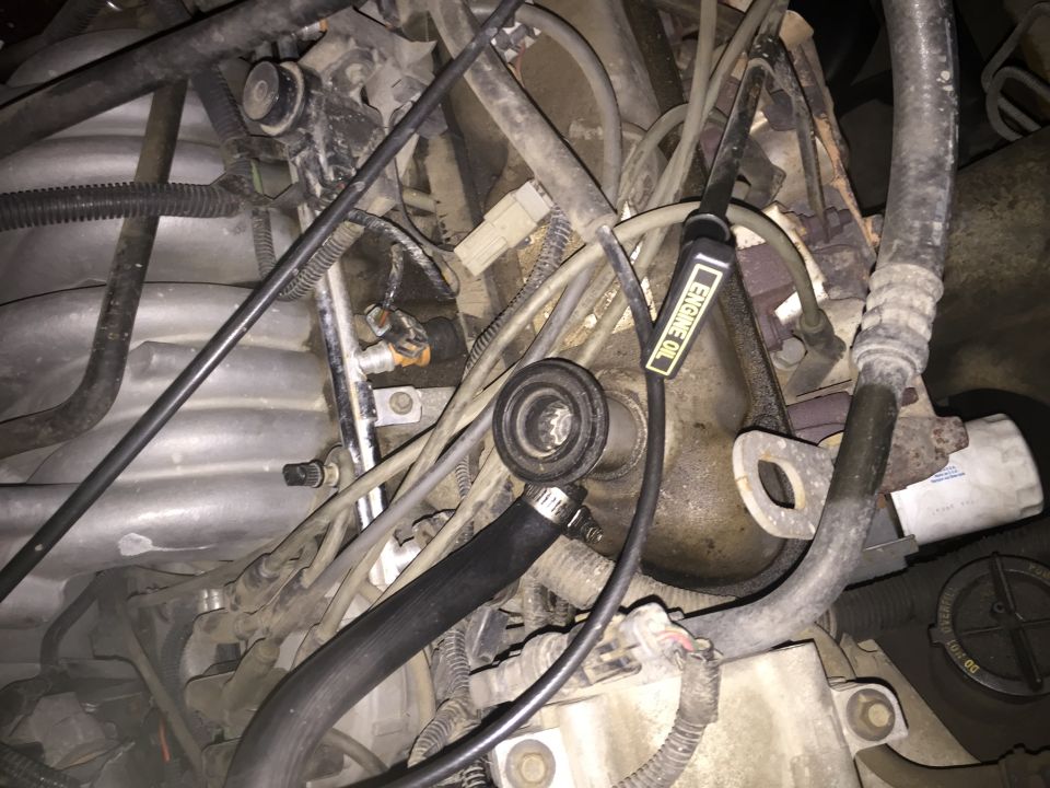 Ford Bronco engine bay with oil dipstick, hoses, and wiring.