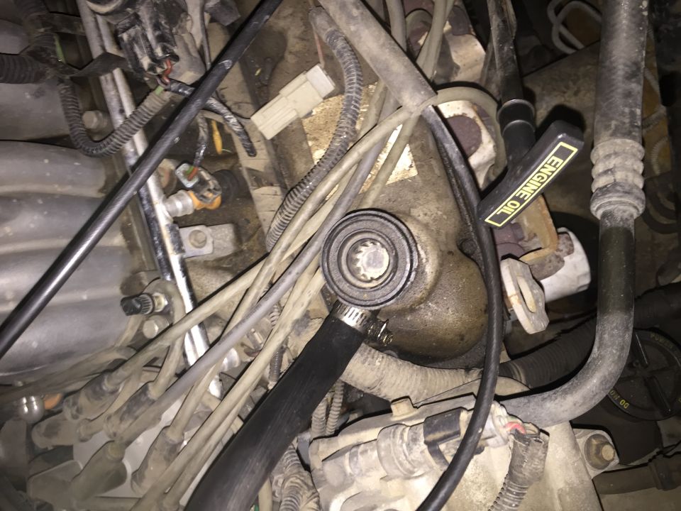Engine bay with engine oil dipstick and hoses