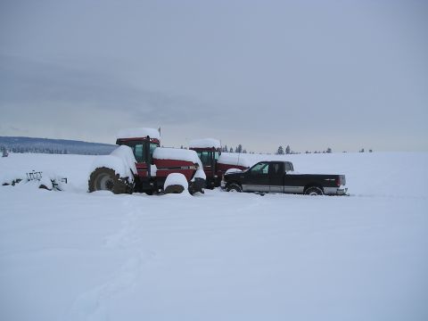 1999 Ford F-250 photo